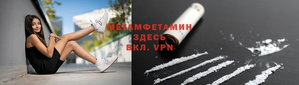 трава Аркадак